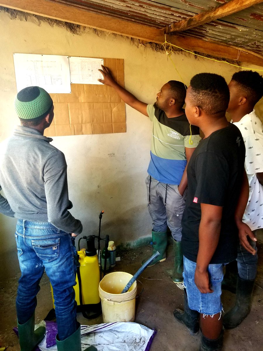 OmaryMwaimu's tweet image. #Kazini