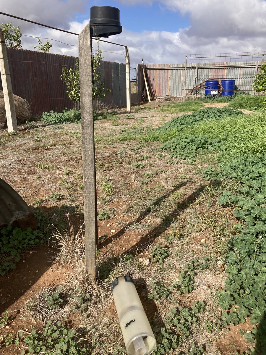 NineMileFarm tweet media