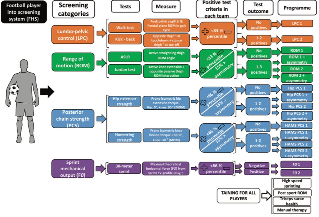 AdrianBenitez4's tweet photo. 📰 Lahti et al. (2020). Programa multifactorial individualizado para la ⬇️ del riesgo #lesión en #isquios #hamstring en #fútbol.
✅ Mejorar estrategias de #prevención
4️⃣ Categorías valoración:
🧩Control lumbo-pélvico
📐ROM ▶️ Jurdan test
🏋🏻♂️Fuerza cadena posterior
🏃🏼♂️Sprint (F0) https://t.co/zDlpz5ojk8