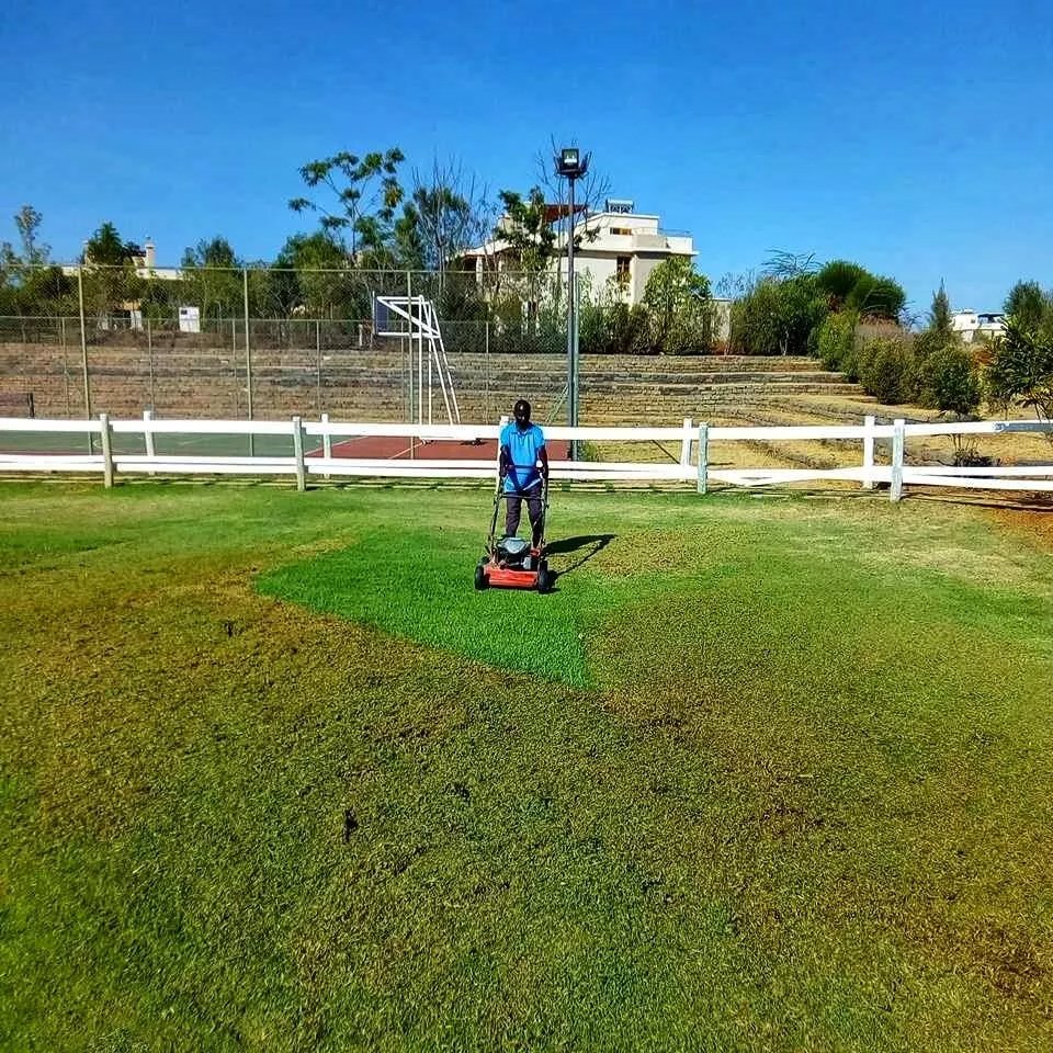 SeimosTurf's tweet photo. Before and after photos of the maintenance work we've done @Maiyan (Luxury Homes in a Country Resort) in Nanyuki. ⠀
⠀
Progress👌⠀
⠀
Your Golf Course and/or landscaping can look like this too. Just give us a call today at 0739 339134 or email as @ info@seimosturf.com https://t.co/Gfuiqq9Hue