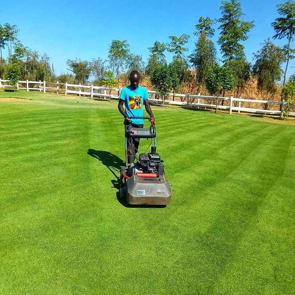 SeimosTurf's tweet photo. Before and after photos of the maintenance work we've done @Maiyan (Luxury Homes in a Country Resort) in Nanyuki. ⠀
⠀
Progress👌⠀
⠀
Your Golf Course and/or landscaping can look like this too. Just give us a call today at 0739 339134 or email as @ info@seimosturf.com https://t.co/Gfuiqq9Hue