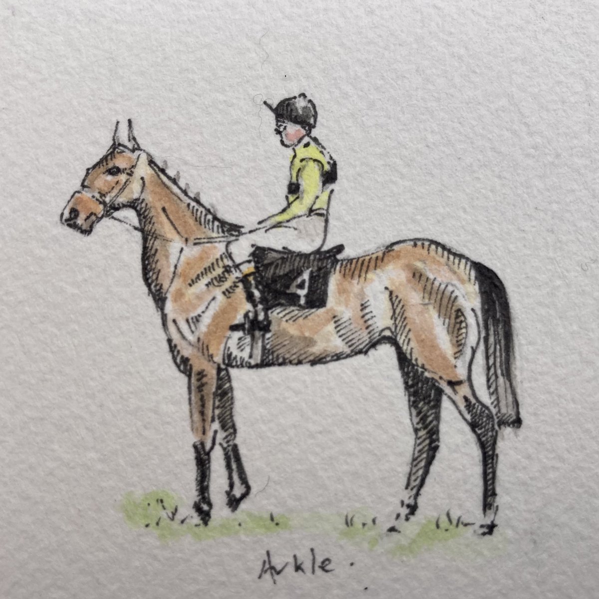 JRFArmstrong's tweet photo. Some details of the illustrations on the #MapofIrishRacecourses RT & share as plenty available on https://t.co/C1ntm93FAF @coolmorestud @Jessica_Racing @ninacarberry @paulcarberry @TomTaaffe @BarryJGeraghty @JosephOBrien2 https://t.co/NiCHozkm5S