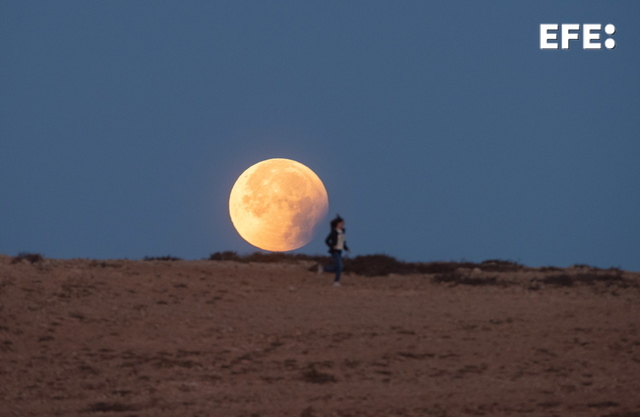 EFE Canarias tweet media