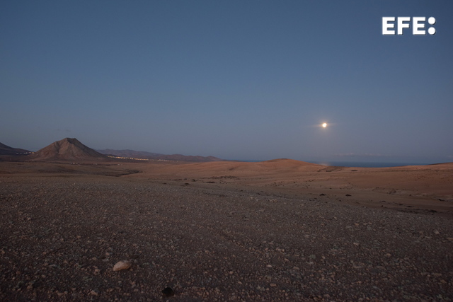 EFE Canarias tweet media