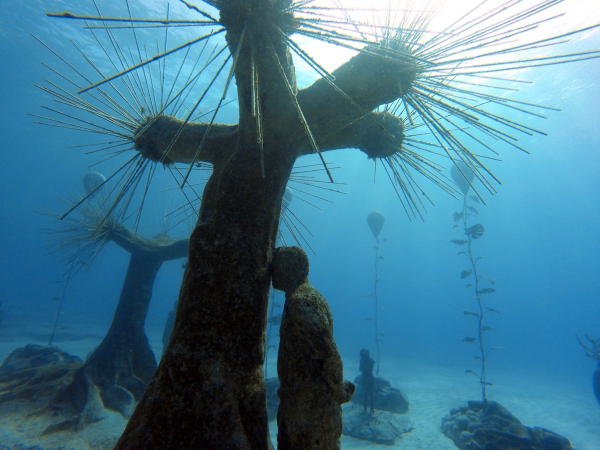 oceanviewdive's tweet photo. Another at #musan this morning 🤿🇨🇾👌🏻 https://t.co/a57ERtpk4O