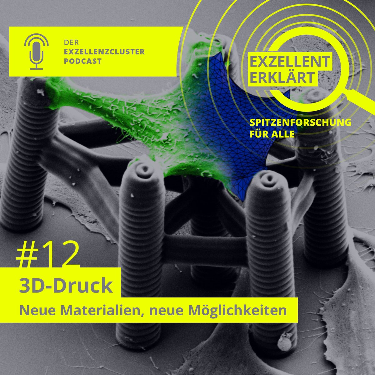 The new episode of '#exzellenterklaert – Spitzenforschung für alle” is out now and features the Cluster 3DMM2O! Listen in and learn how research areas as diverse as #Organoids and #Metamaterials benefit from state-of-the-art 3D printing. exzellent-erklaert.podigee.io/12-neue-episode