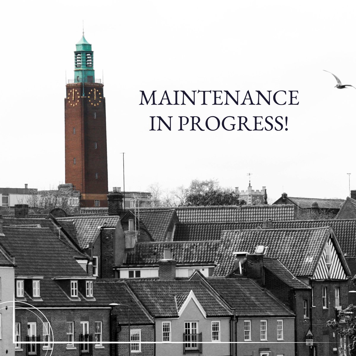 SMichlmayr's tweet image. Today you may have spotted us removing the great fly wheel on the city hall clock 👀 We are currently carrying out the clock's annual service and it will be up and running again tomorrow evening 🙌 #towerclock #annualservice #norwichcityhall