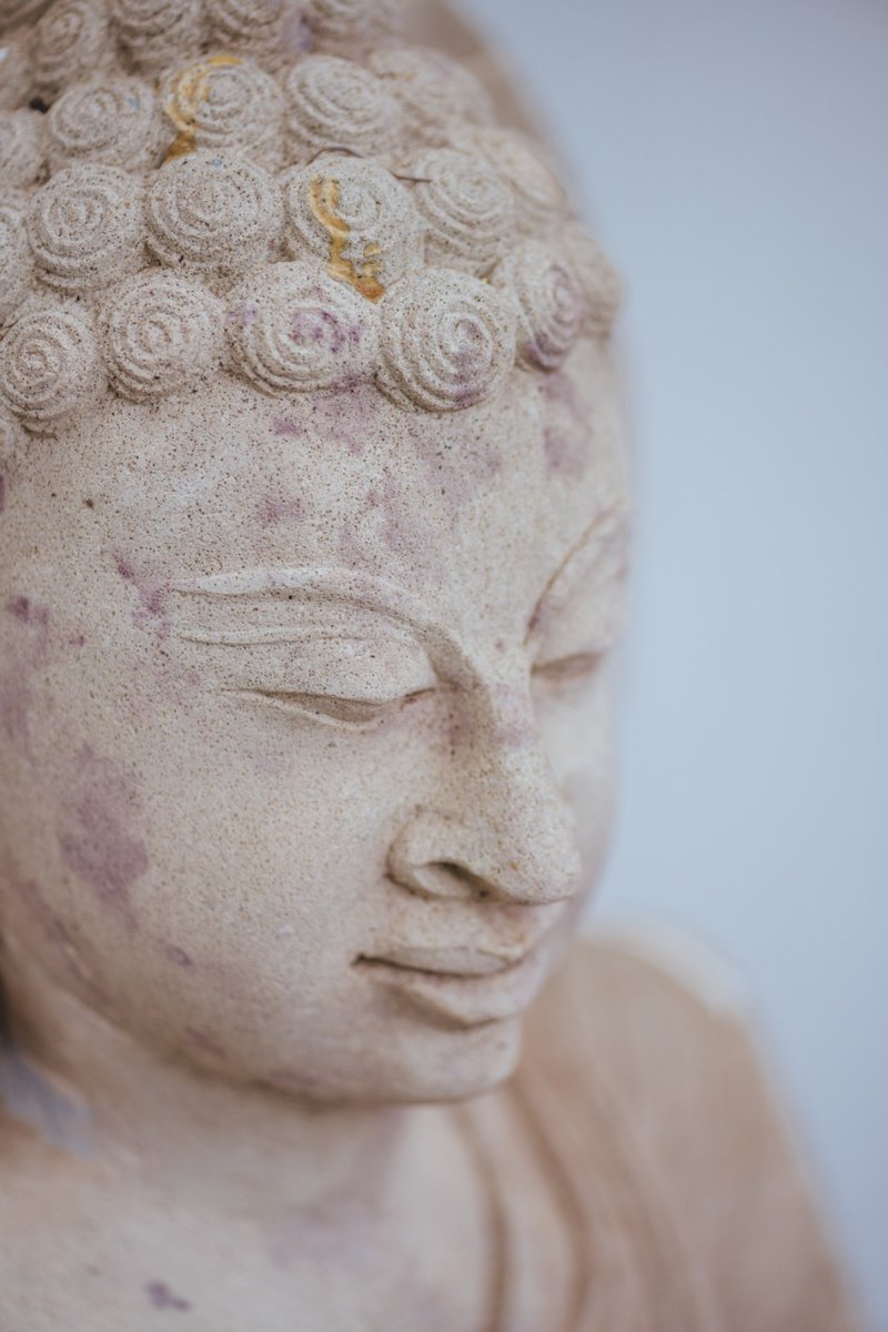 May his teachings continue to illuminate our lives everyday 🌟

#BuddhaPurnima