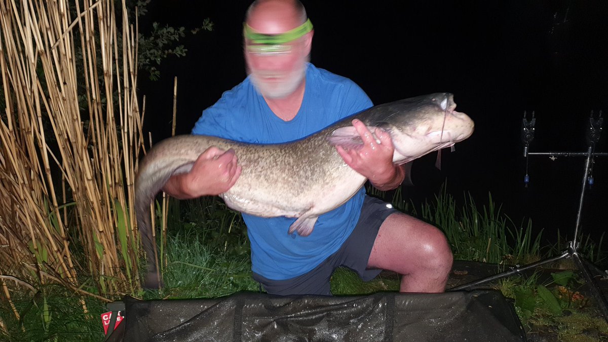 fishingthemind's tweet photo. One of the lads @dannymoore96 smashing it out the park with this 😲 new Celtic lakes I will be seeing you in the very near future that’s for sure ! 127lb sturgeon and a 43lb catfish 👏🏻 🤯 #sturgeon #catfish #huge #monsters 🎣 https://t.co/UKfZgNlPOM