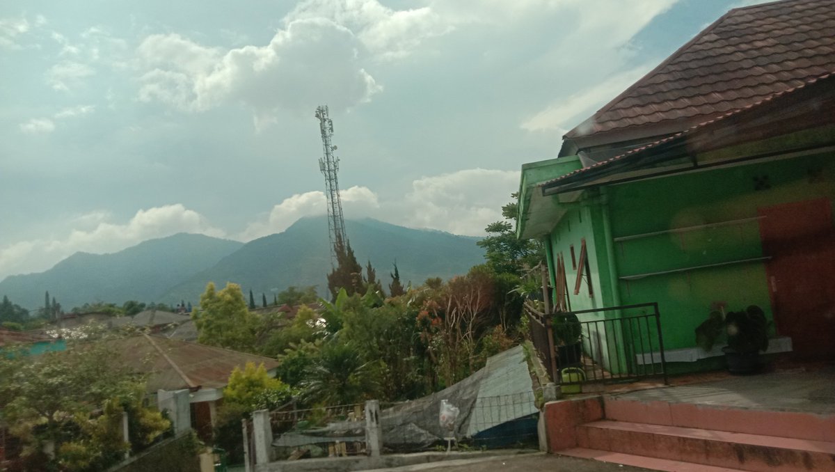 the_mexz tweet media