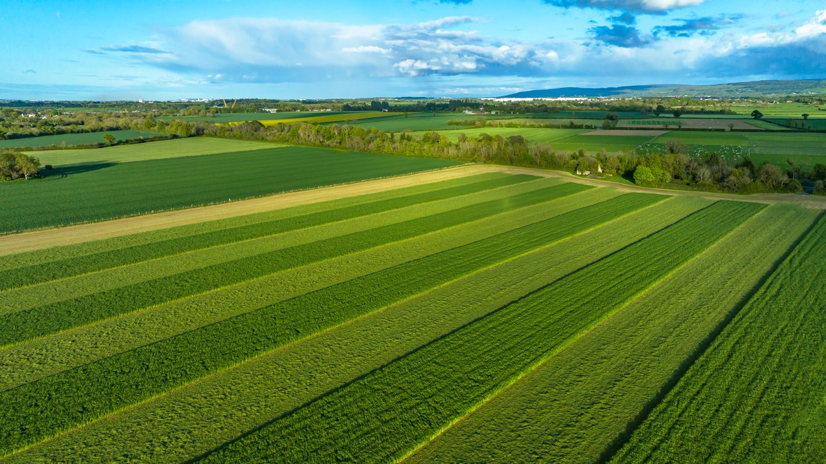 Grass, grass &amp; grass - my favourite picture of the first cut - red clover silage with no chemical N this year - 2 applications of slurry (LESS) and grazed by sheep till end of Feb - thanks to Adrian for the picture