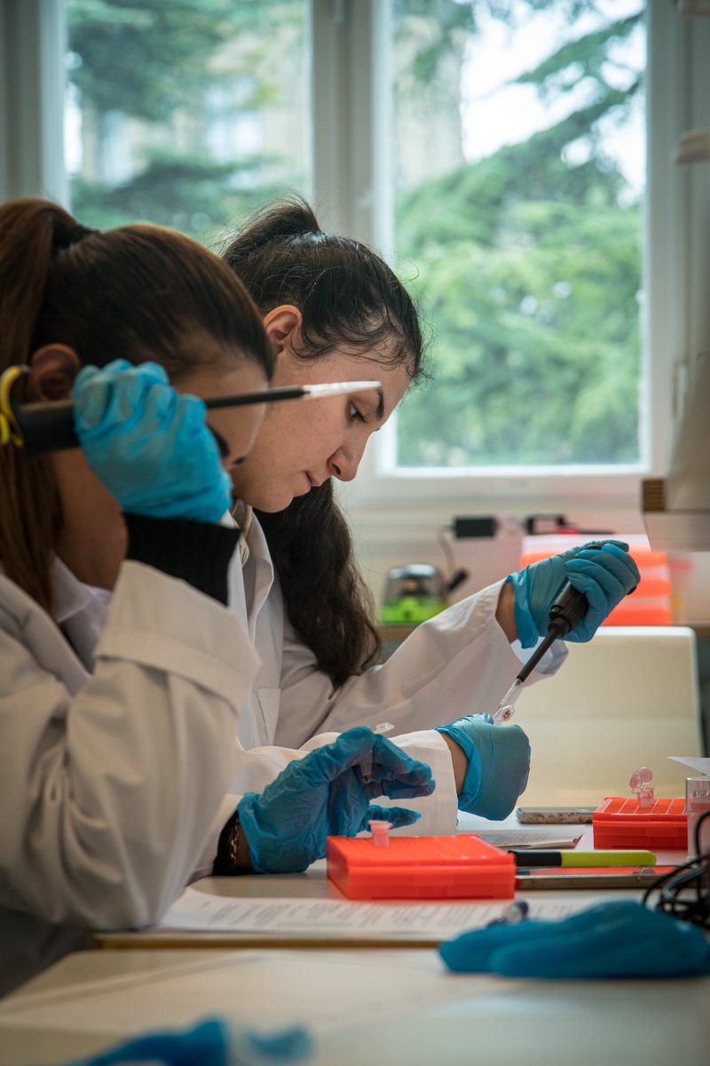 With high school students we used #ZooMS to identify species not previously recorded in medieval and renaissance leather from Copenhagen. Paper out on new Citizen Science-based approach to #bioarchaeology. mdpi.com/1623598