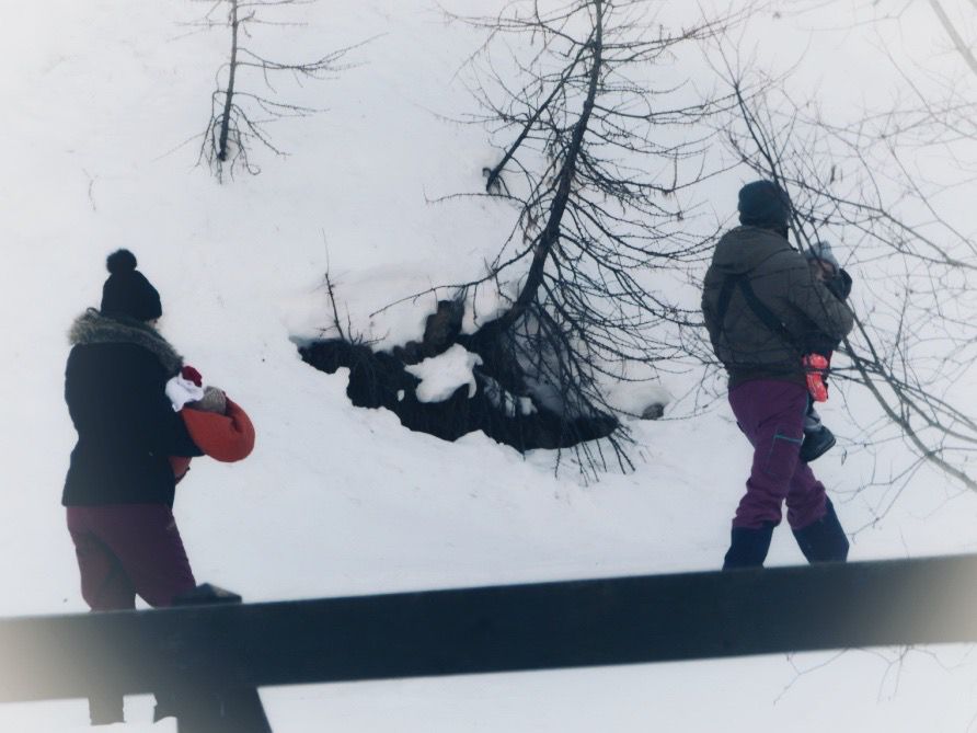 MeltingPotEU's tweet photo. Un anno sul versante nord-occidentale: la #frontiera al valico del #Monginevro
Il report è frutto della ricerca in Val Susa a #Oulx da Onborders

I dati riguardano non solo gli arrivi a Oulx nel 2021 ma anche i respingimenti, le fragilità, le storie. 
https://t.co/o8MzAELS8X https://t.co/YVqYjADkre