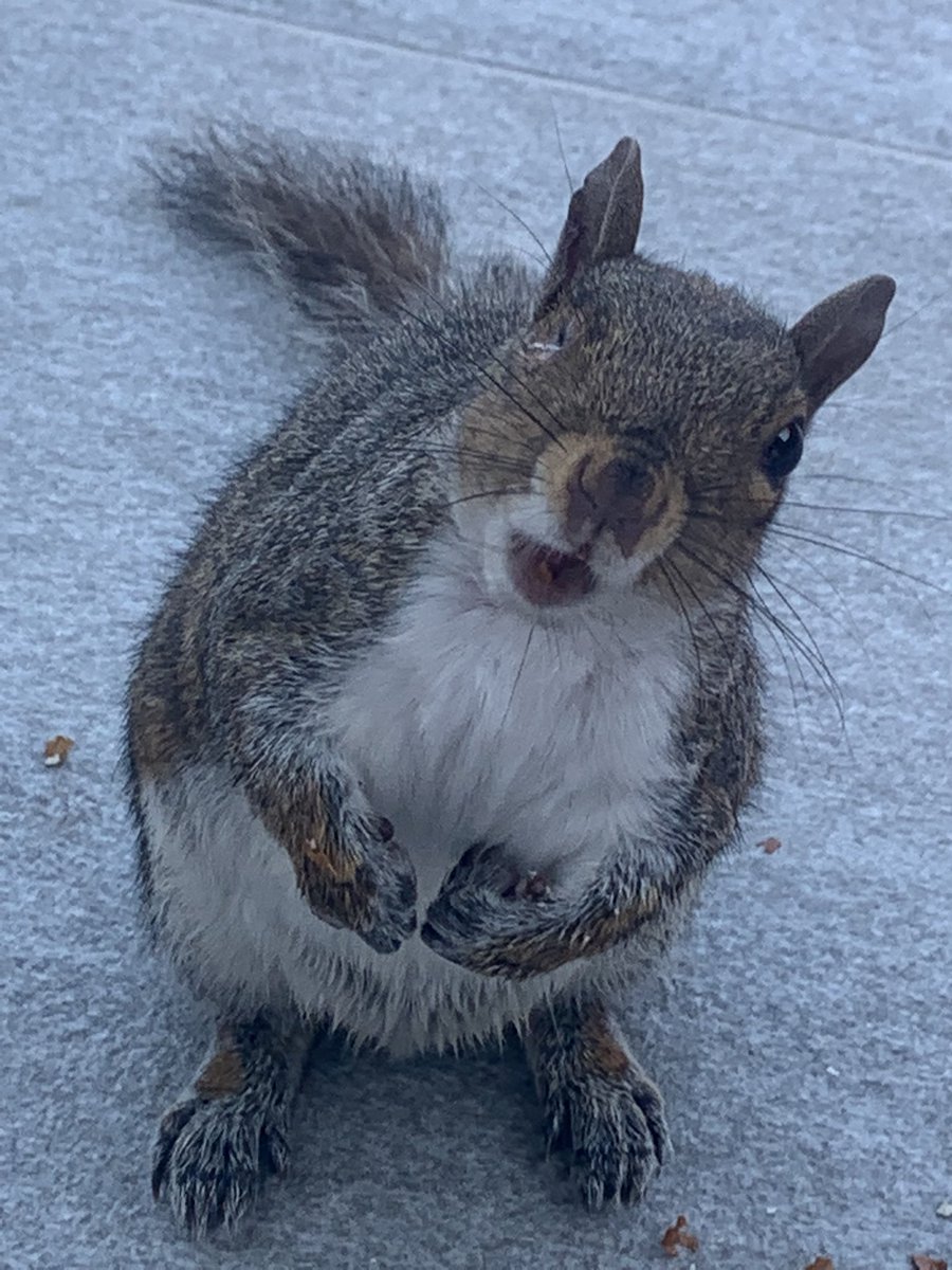 Stephanie tweet media