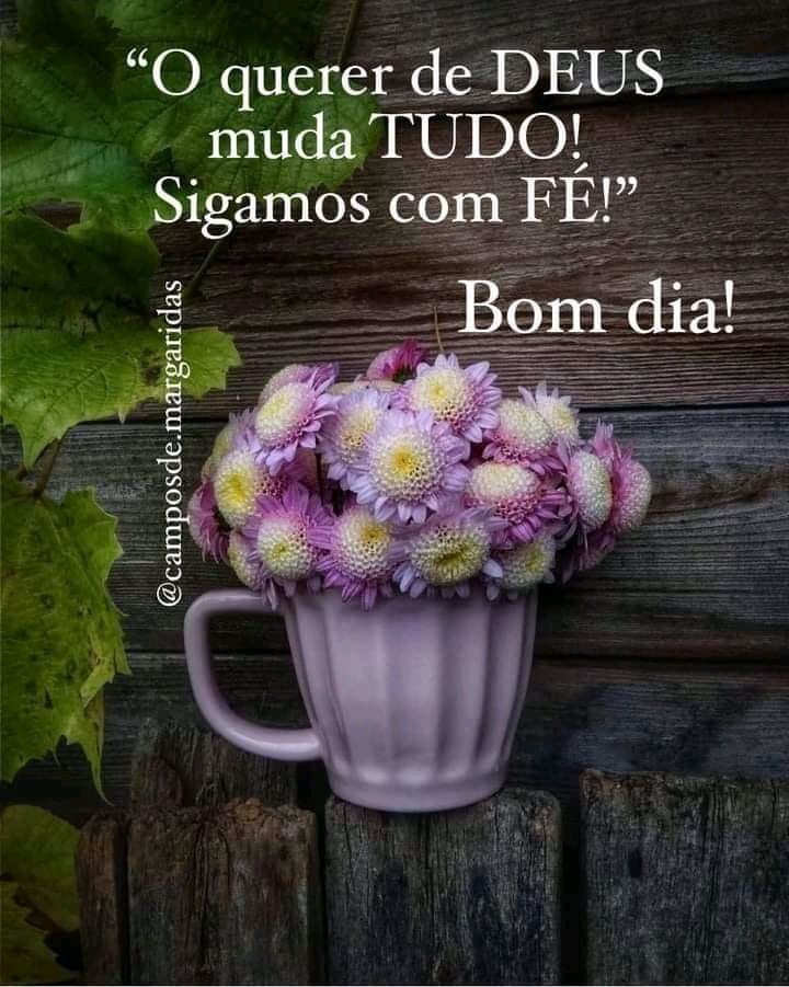 Maria de Lourdes 💯 %💉💉 💉💉💉🌼 on Twitter: Maria de Lourdes 💯 %💉💉 💉💉💉🌼 on Twitter: