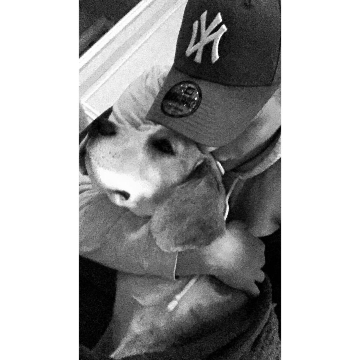 MattyHankinson's tweet photo. Forever my best mate ❤️ https://t.co/xbfQqT8bBH