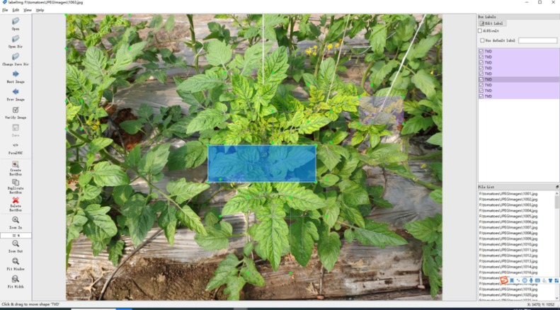 marinello_unipd's tweet photo. #Deeplearning increases efficiency and effectiveness of  #tomato #virus #disease recognition, through #YOLO. I served as editor for this interesting work just published by #CompAg @ELSenviron  #AgTech: congrats to the authors! ➡️https://t.co/oa0moz1s45 https://t.co/23ogvYOz5g