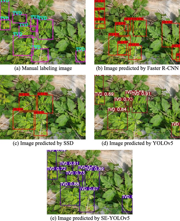 marinello_unipd's tweet photo. #Deeplearning increases efficiency and effectiveness of  #tomato #virus #disease recognition, through #YOLO. I served as editor for this interesting work just published by #CompAg @ELSenviron  #AgTech: congrats to the authors! ➡️https://t.co/oa0moz1s45 https://t.co/23ogvYOz5g
