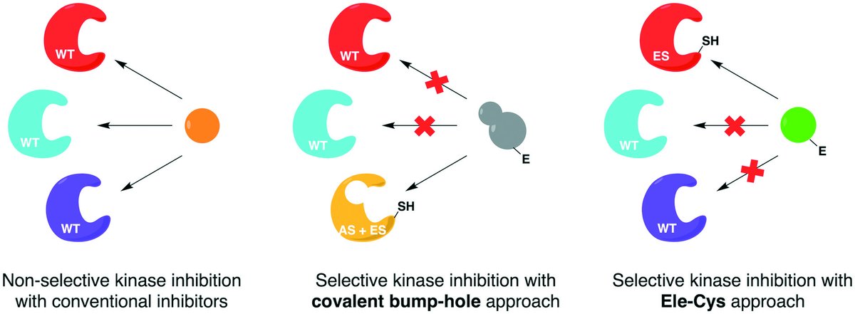 RSC Medicinal Chemistry tweet media