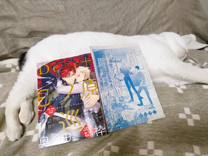【お仕事お知らせ】Dear+6月号に『死ねない吸血鬼は死にたがりの子猫を拾う<後篇>』32P掲載して頂いてます!レオもユウゴも描くのめちゃ楽しかったです～そしてこのお話、続きを描かせて頂ける事になったので是非引き続き楽しみにして頂けたら嬉しいです!レオユゴイチャイチャ編だ～!  