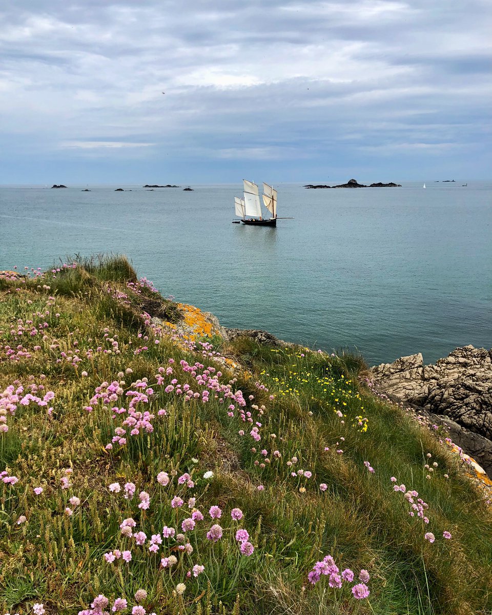 #saintmalo #illeetvilaine #vieuxgreement #explorebretagne #bretagne_focus_on
#bretagne #breizh #hautebretagne
#bretagnetourisme #brittany #landscape
#bzh #destinationbretagne #randonnee #jaimelabretagne #igersbretagne #bestofbretagne
#cotedemeraudetourisme
#sensationbzh