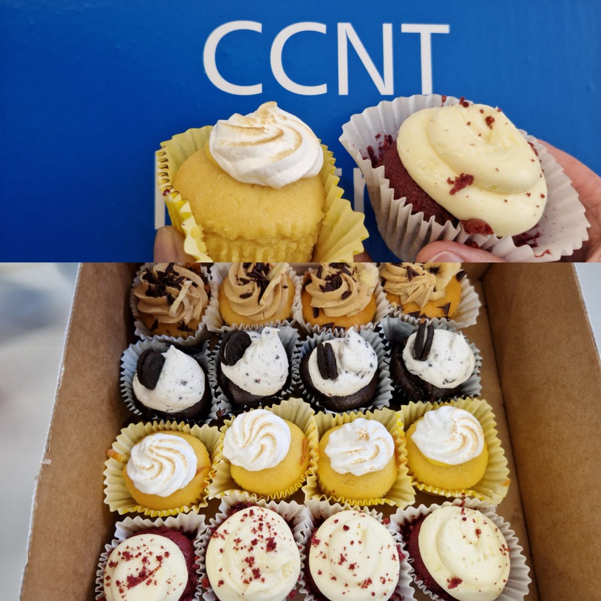 BartsCcnt's tweet photo. Better late than never! Thanks @NHSBartsHealth for the lovely cupcakes to celebrate international nurses day 2022 on Thursday. It's not always easy being a nurse, but we wouldn't do any other job! #InternationalNursesDay #freecake #nursing #itsavocation https://t.co/iUxkFfgcJe