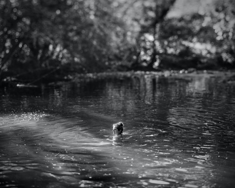 Mi querido y admirado <a href="/RafaelTrapiello/">Rafael Trapiello</a> ha inaugurado en la galería Arniches 26 su expo ‘Todos los tiempos’. Una muestra documental (con algo de ficción poética) sobre el tiempo, la memoria, los afectos.

Como dice Rafa, la belleza nos ancla en la realidad y nos ayuda en el camino