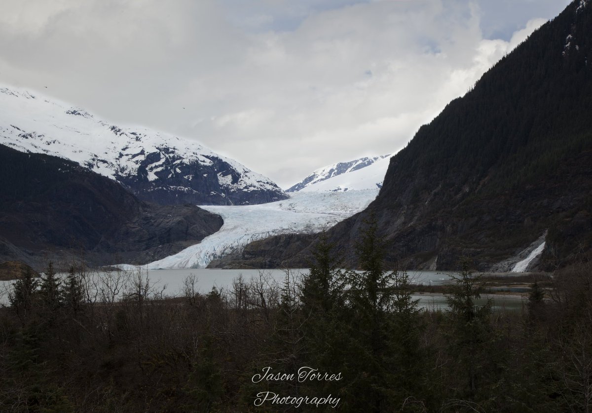 Jason Torres tweet media