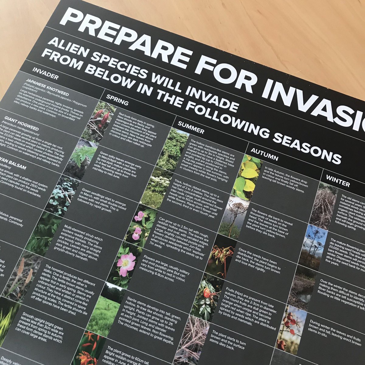 JKSLtd's tweet photo. It’s Invasive Species Week! To raise awareness we are giving away this handy invasive plants identification poster to the first 20 requests! #INNSweek #invasivespecies #jksl https://t.co/3h2A9CUq34