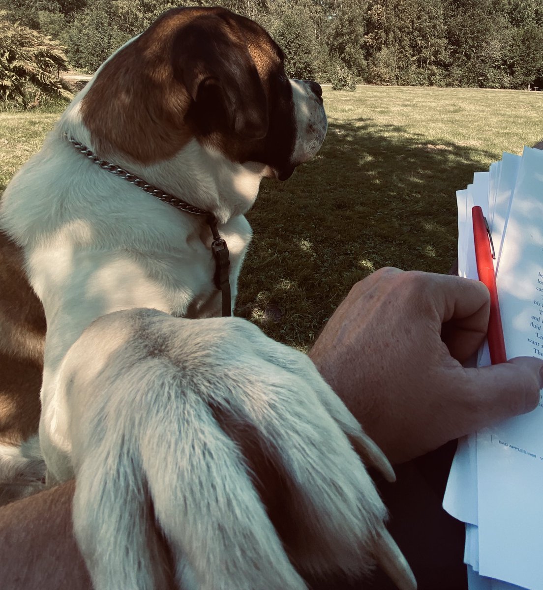 I write for the wild, slightly unhinged 1st draft experience. That terrifying burst of creativity. Leaping into the void &amp; telling myself a story. But the longer I do this the more I’ve grown to appreciate the act of rewriting. Slower, more careful, less dramatic. The real work.