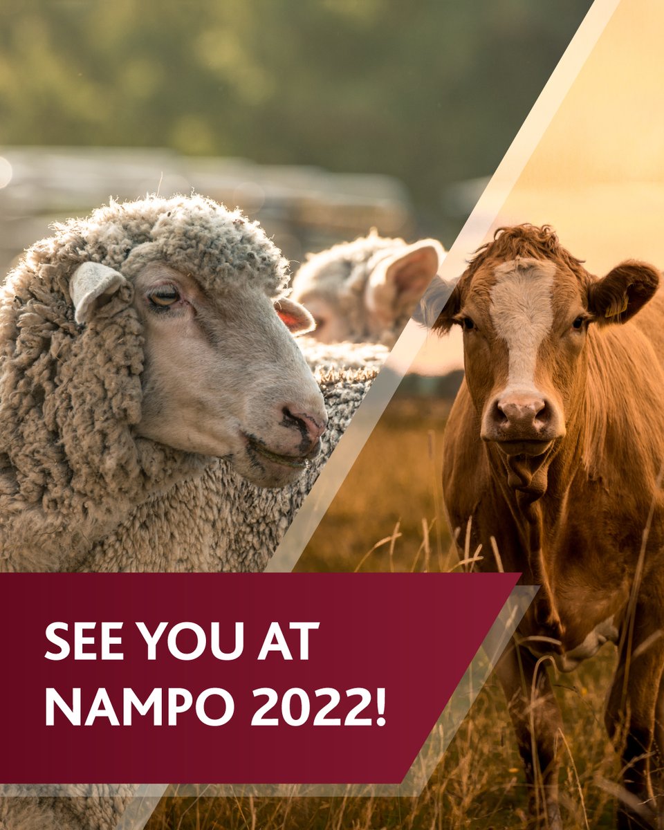 Going to NAMPO 2022? Visit us at the Molatek stand! Come say hello at stands V4 and V5. Stop by for a chat, meet the technical advisor in your area, and learn more about our products. See you from 16 to 20 May 2022! #NAMPO2022 #Molatek