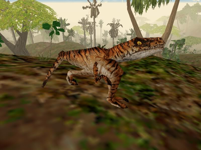 low poly animals tweet media