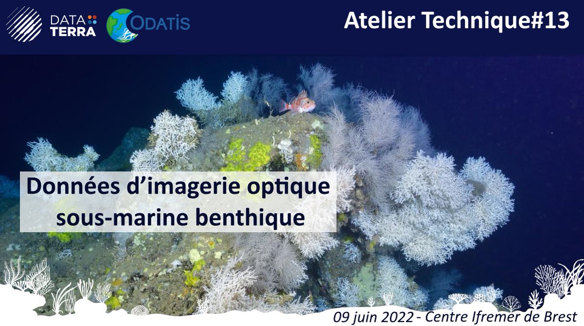 2/ 'Données d’imagerie optique sous-marine benthique' : présentation générale des données, projet DeepSeaSpy, DeepSeaInnovation, AVIExplore, BIIGLE, initiatives pour la standardisation des #données d’imagerie marine...
▶️tous les détails : bit.ly/3lgl05A