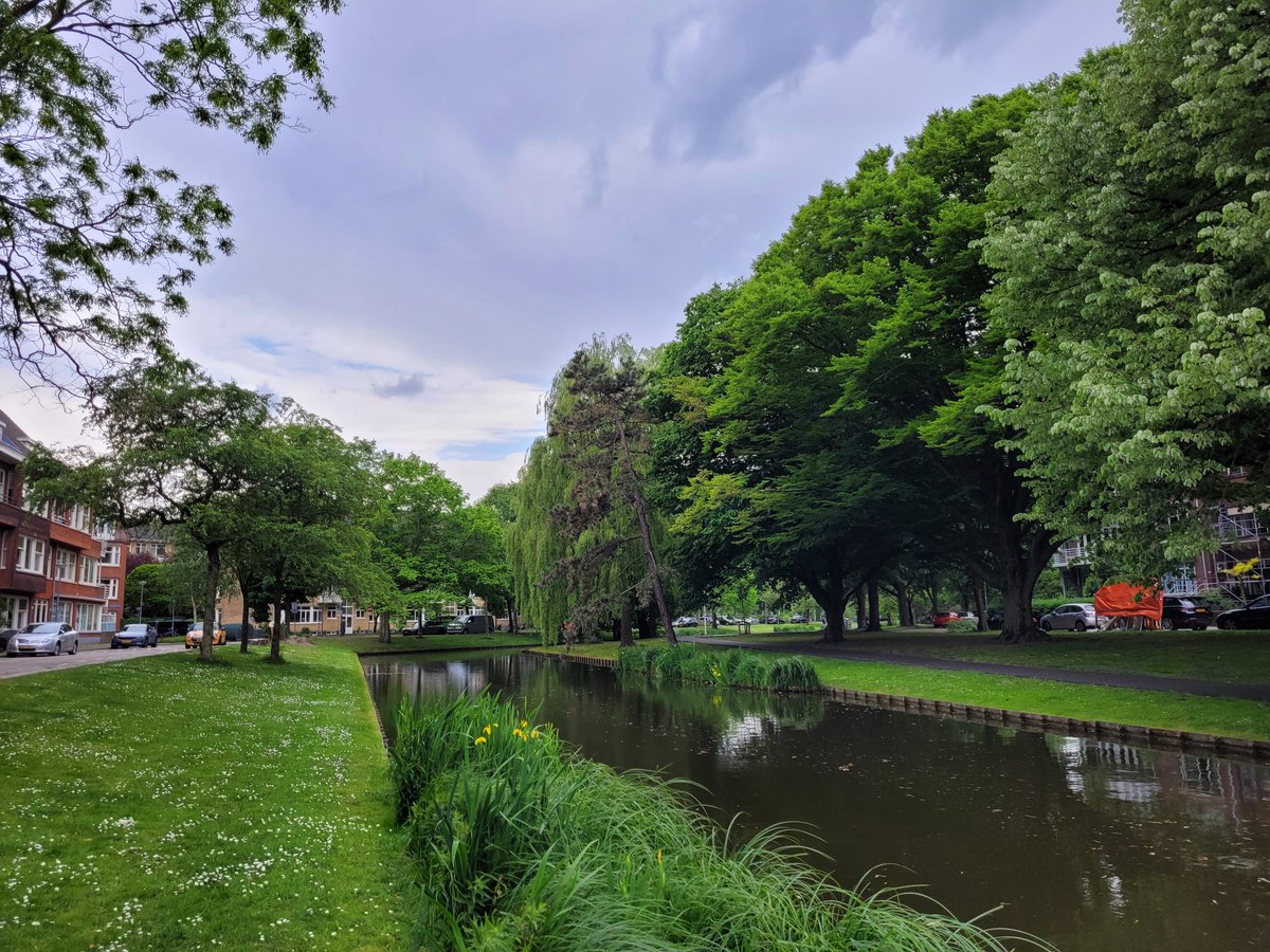 JanHenk010's tweet photo. Statensingel #Rotterdam https://t.co/UPiUL07BtP