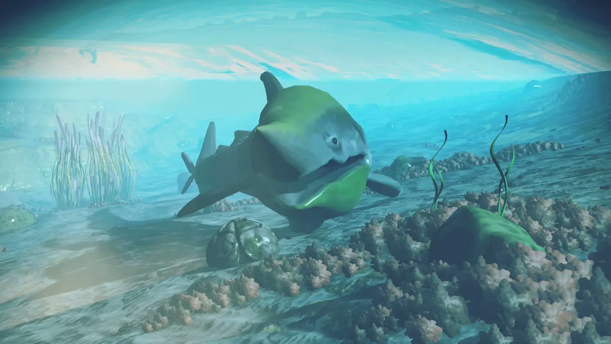 annahlein's tweet photo. Doesn't he look happy ?! 🦈😄
#NMS #NoMansSkyOutlaws #NoMansSky #PS4share #PS4Pro #PlayStation #NMSphoto #PhotoMode #nmscreatures #HelloGames #underwater #VirtualPhotography #explore #gamimg #hellogames https://t.co/R7hg2e4gvG