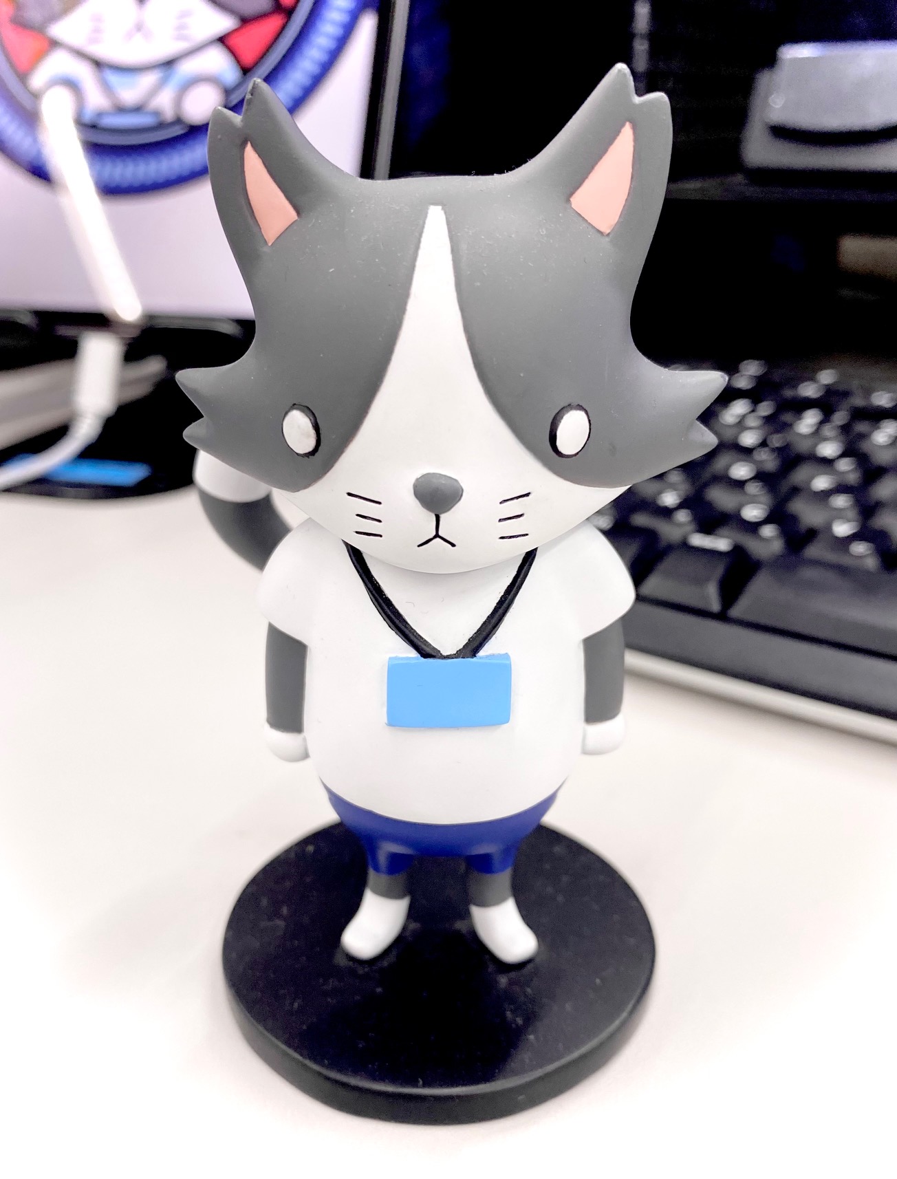 猫のひたいほどワイド on X: 猫のひたいほどワイド on X: