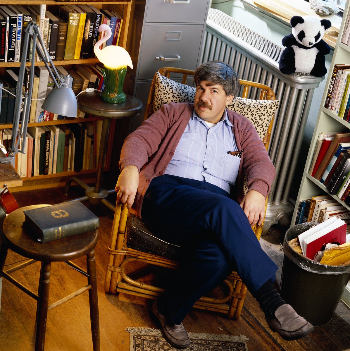 Radio3scienza's tweet photo. "L'#evoluzione prima produce dei 'pennacchi' come quelli delle basiliche, e poi li 'riempie' con adattamenti a posteriori, facendo di necessità virtù. #StephenJayGould usò una metafora architettonica per spiegare il concetto di #exaptation, di pre-adattamento" #TelmoPievani ora https://t.co/8OXRdIFBFF