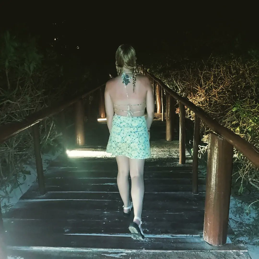 Rachb93's tweet photo. the donnan honeymoon 🌴🦎☀️ #takeusback https://t.co/6xTcfCjfhv