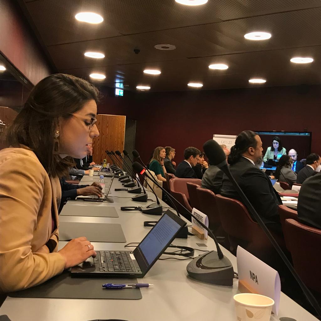 NPAdisarm's tweet photo. Words are not enough to put a🛑on suffering from #clustermunitions use. States must acceded and ratify @ISUCCM + implement the Lausanne Action Plan. Read our statement on #Universalisation👇 by @duric_kristina
#CCM #Intersessionals @UKMissionGeneva https://t.co/53Uw3SagNz