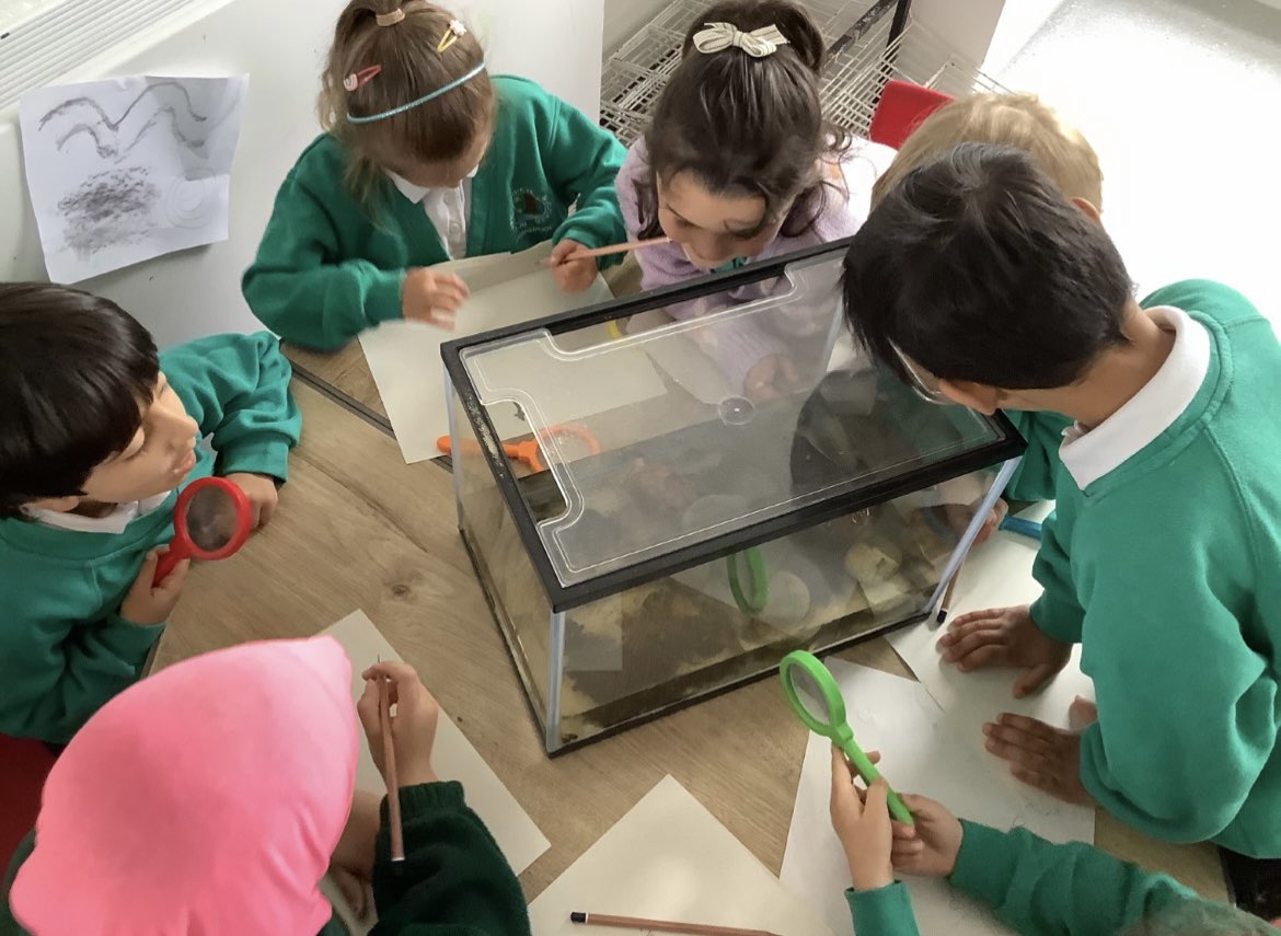 Springwood_Prm's tweet photo. Guess what story #springreception are learning today?
The clue is the new addition to the classroom
Say hello to our little tadpoles 👋
@MrWalkerPrimary @Talk4Writing
#springtalk4writing #springlanlitcom #talk4writing https://t.co/Vs5BIpCA7G