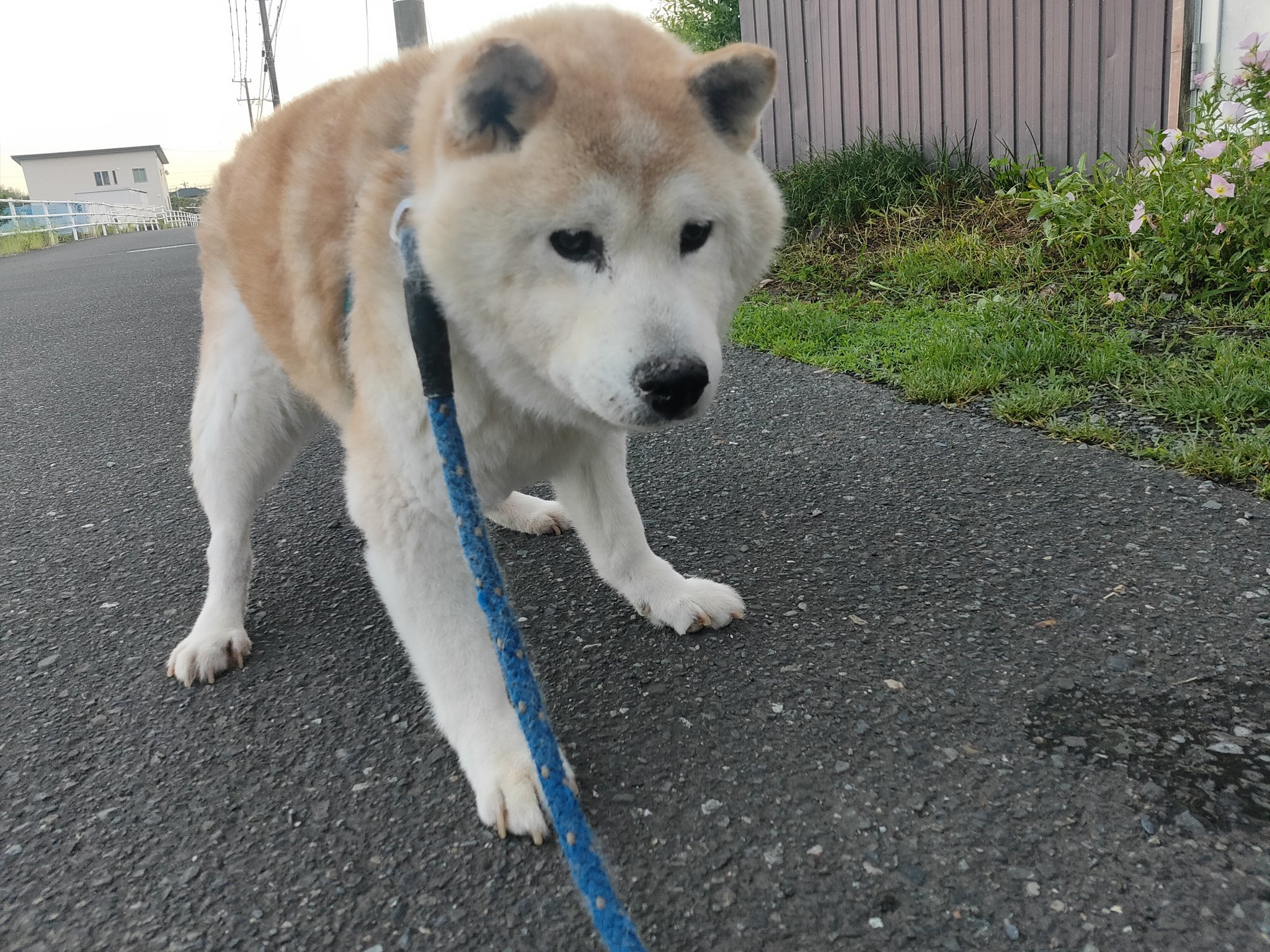 See Toyscabin S Tweet On May 16 22 Twitter