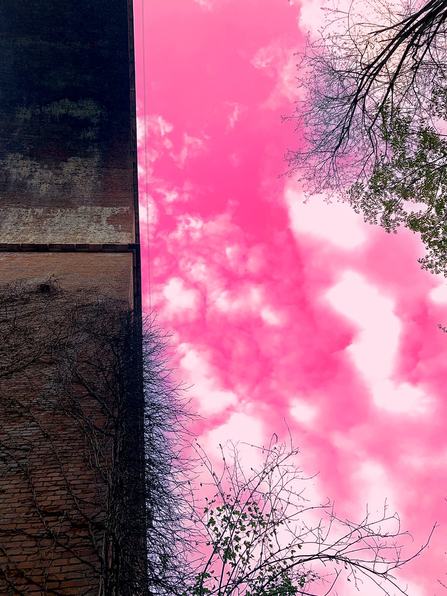 ArsenikoCWizard's tweet photo. IT-Il limite alla tua fantasia sei tu, sbloccarla significa vivere con i propri colori.
EN-You are the limit to your imagination, unlocking it means living with your own colors.
#esoterísmo #paganesimo #pagan #coven #congrega #magia #witch #witchlife #witches #witchcraft https://t.co/kwjDMkY1vS