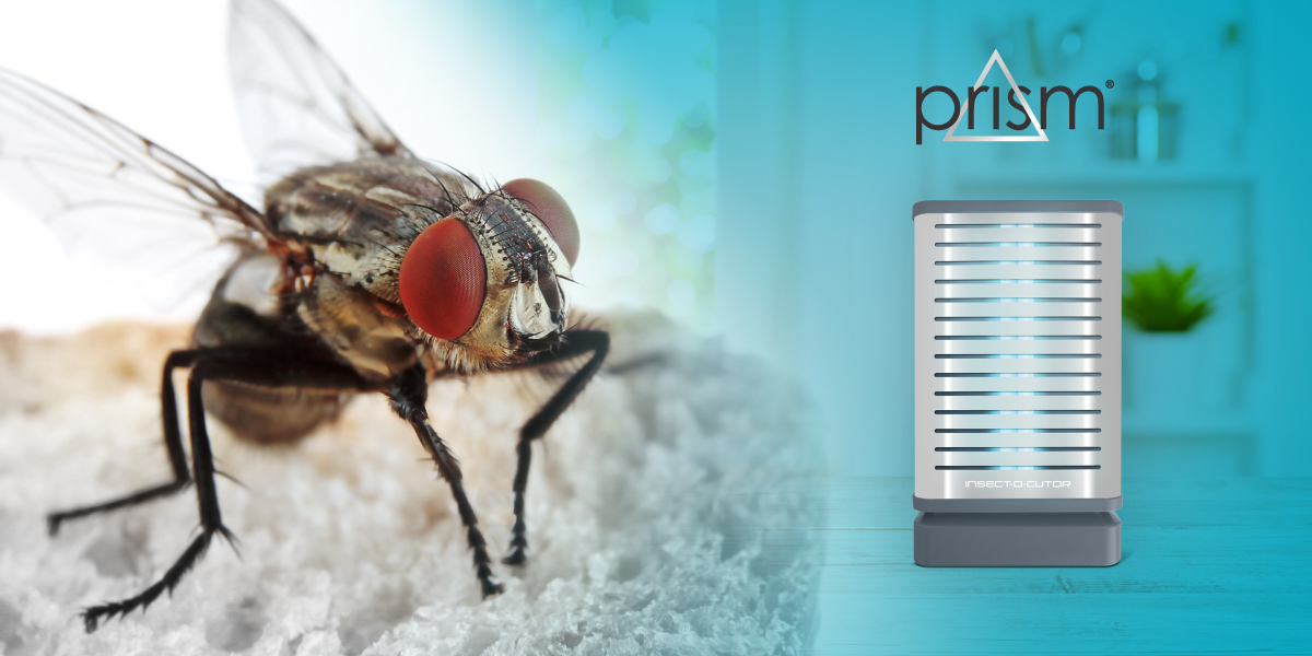 Did you know an average of 1,250,000 germs are carried on the body of one fly? Protect your home from flies with the Prism glueboard flykiller! Available from <a href="/LakelandUK/">Lakeland</a>