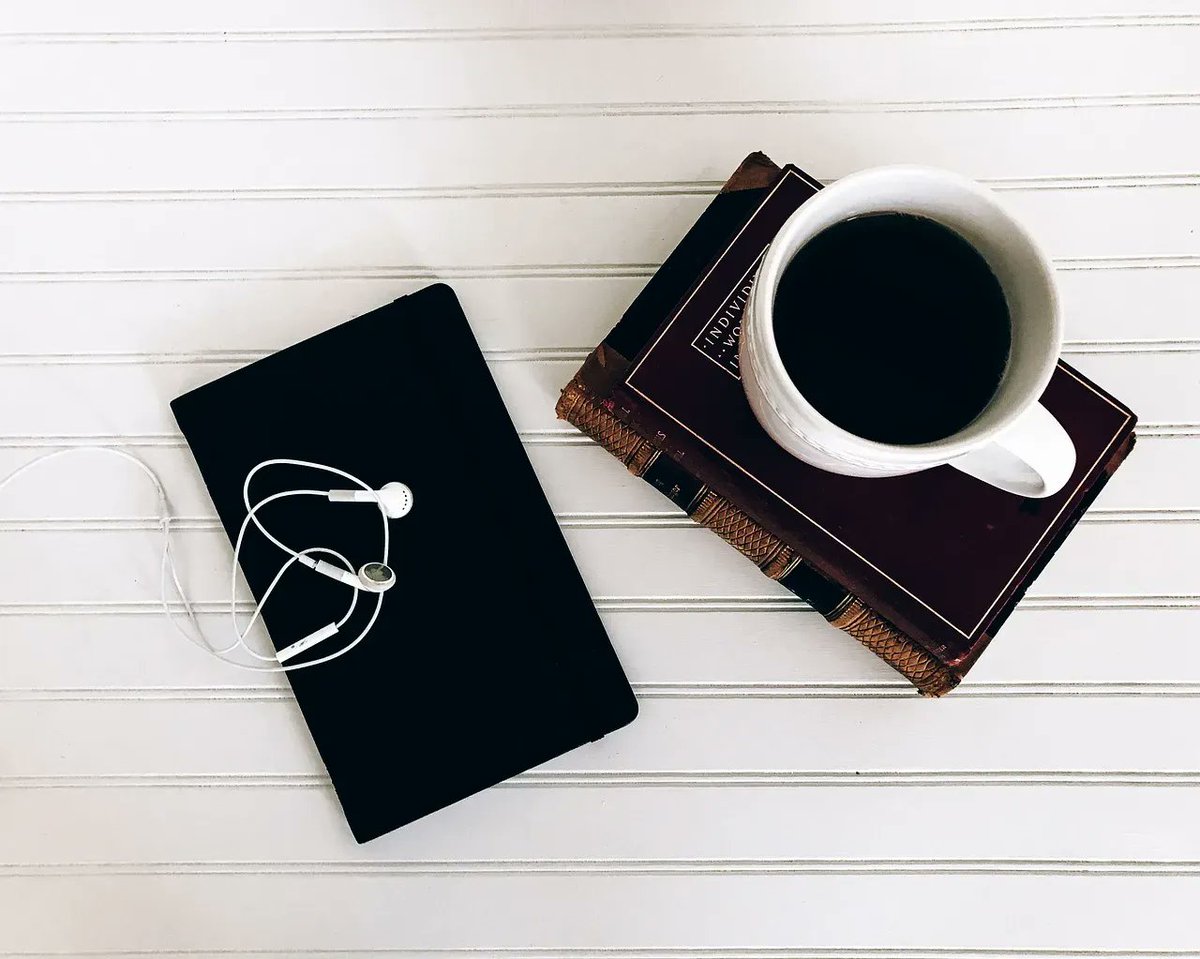 AndyStraka's tweet photo. Audio books have the advantage of a narrator. A good narrator uses pauses, inflection, and more to amplify the listening experience. Think suspense or emotion. Has a narrator evoked fear or tears for you?
#audiobook #audiobooks #audiobooklover #audiobooklove #audiobooksrule https://t.co/9dRnBKWTpj