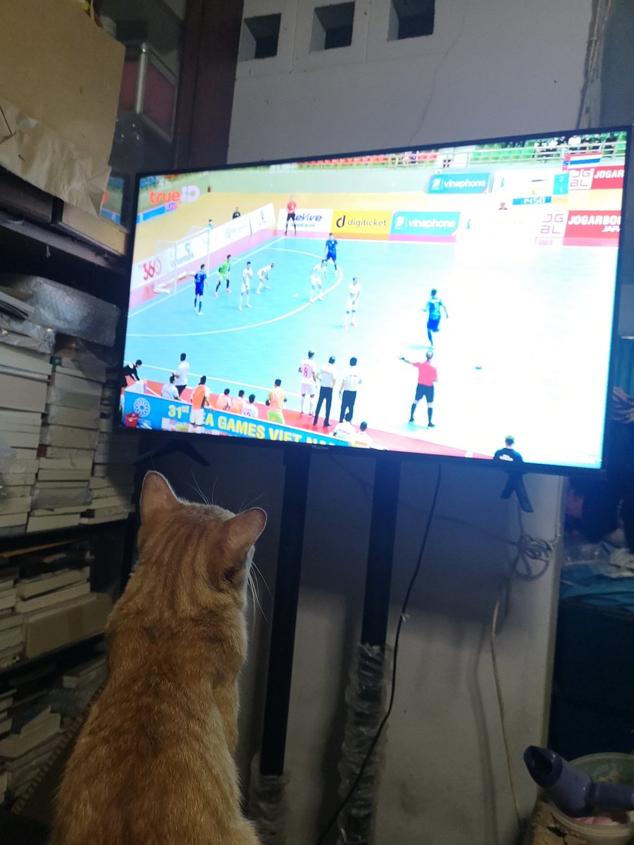 sleppycat6's tweet photo. เด็กแมวเชียร์ทีมไทยในซีเกมส์​ สู้ๆนะ​, #ซีเกมส์2022 #ซีเกมส์2021 https://t.co/CwyV81gzSz