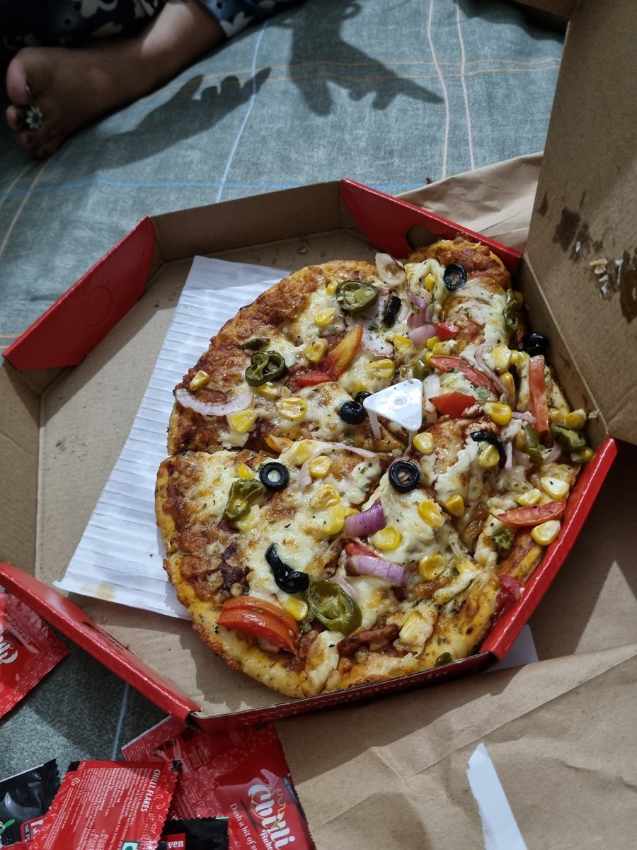 engineer_bruh's tweet photo. @eatsureofficial @Oven_Story you said you deliver standout pizza but I got shit. @jagograhakjago pls help https://t.co/WfUrI9aBXj