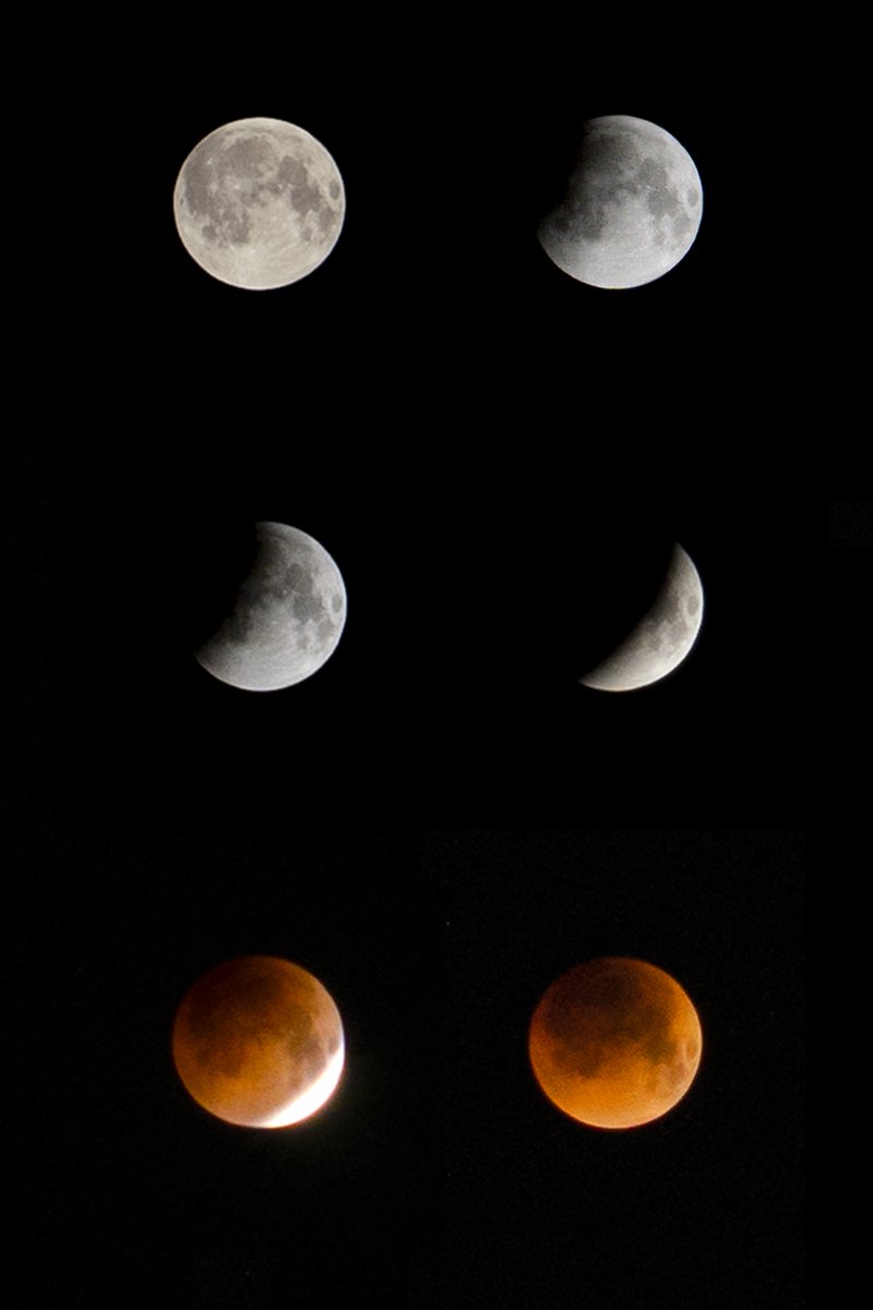 elArbaaa's tweet photo. Pues aquí el resultado de levantarse a las 3:45 de la mañana para ver un eclipse🙂
Bastante contento🤌

Se agradece MG y RT :)
#EclipseLunar https://t.co/iysZATQuCW