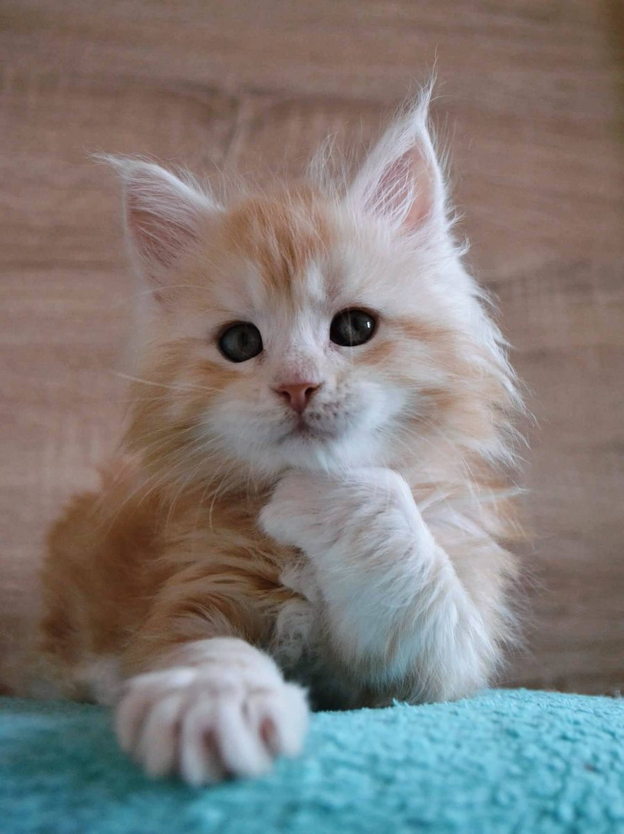 Thinking ....

                              Of you
                                  💙