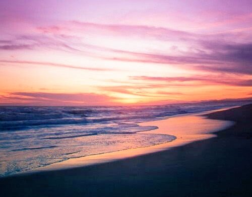 Massimo Moscarelli tweet media