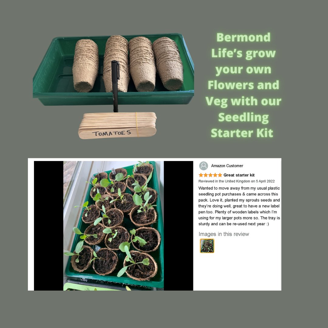 ShardGlobal's tweet photo. Check out our Bermond Life Seedling Starter Kit on eBay and Amazon https://t.co/E47pi50iFy

Amazon Link https://t.co/cTJQDz5PM1 https://t.co/D40P1G4yes